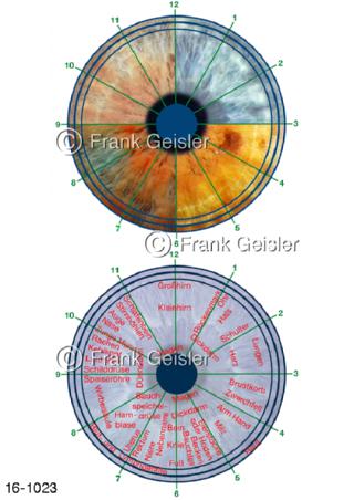 Augenhintergrund Augendiagnose Irisdiagnose