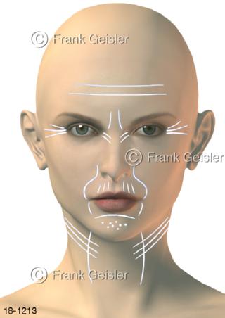 Frau Falten Faltenbildung Gesichtsfalten Halsfalten