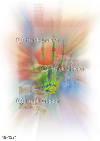 Medical-Art Orthopädie Knochen