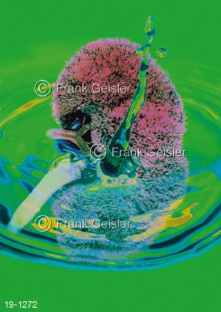 Medical-Art Dialyse Blutwäsche Nieren