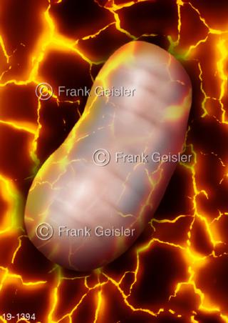 Medical-Art Mitochondrium Energie Kraftwerk Zelle
