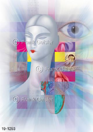 Medical Art Sinne, Sinnesorgane des Menschen