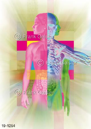 Medical Art Mensch, Organe Frau Mann