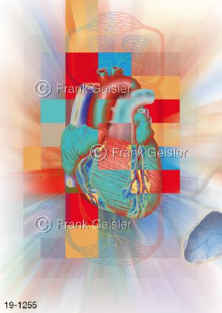 Medical Art Herz Kreislauf, Blutkreislauf