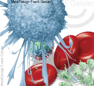 Blutzellen mit Fresszelle Makrophage