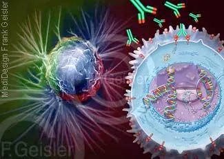 Trastuzumab-Antikörper gegen Brustkrebs